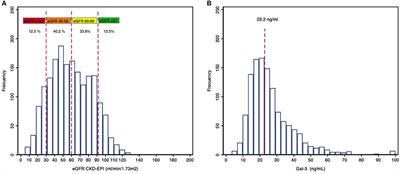 Renal Function Impact in the Prognostic Value of Galectin-3 in Acute Heart Failure